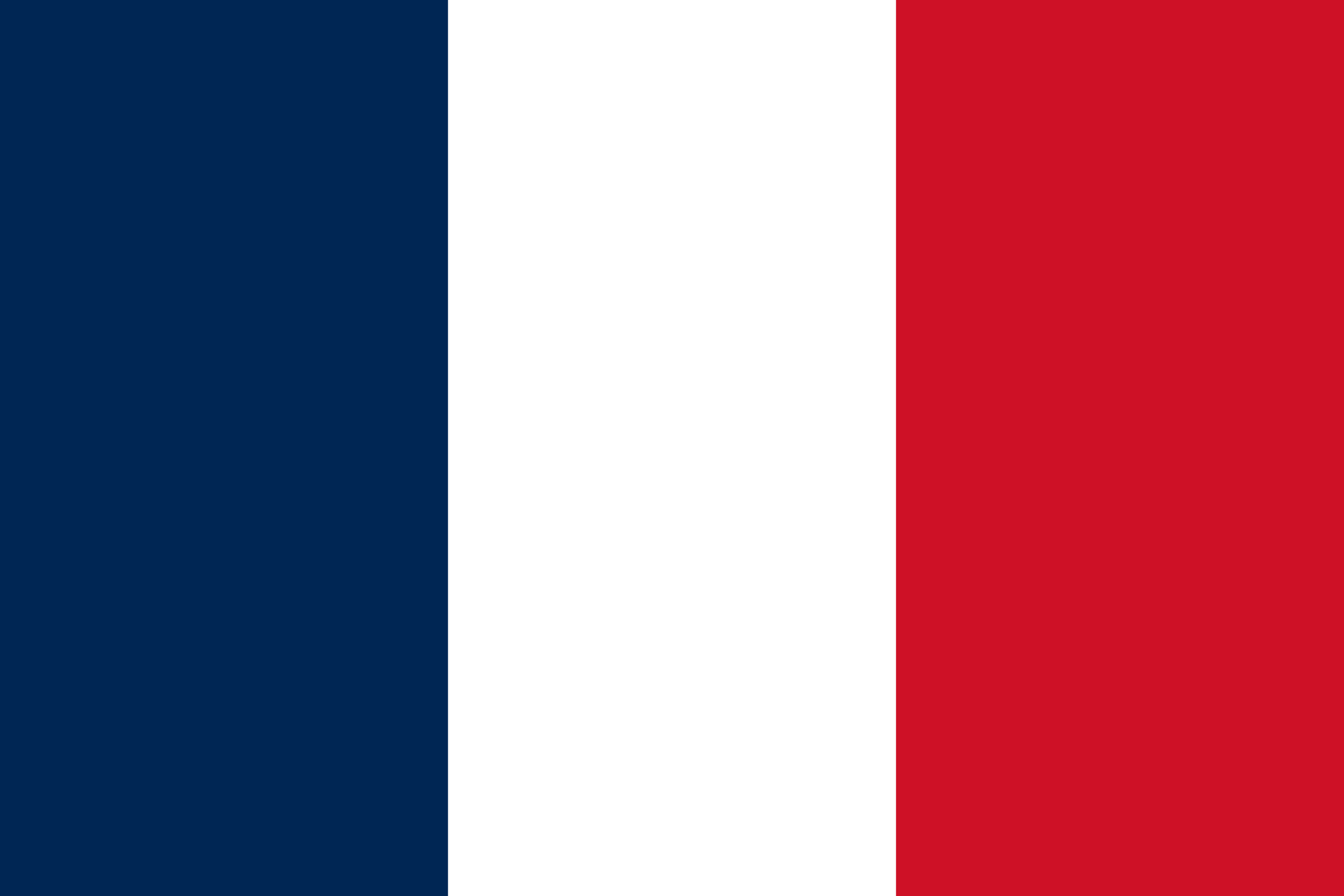 website.fr Flag